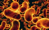 Смертельная схватка. Бактерии против антибиотиков: кто кого?