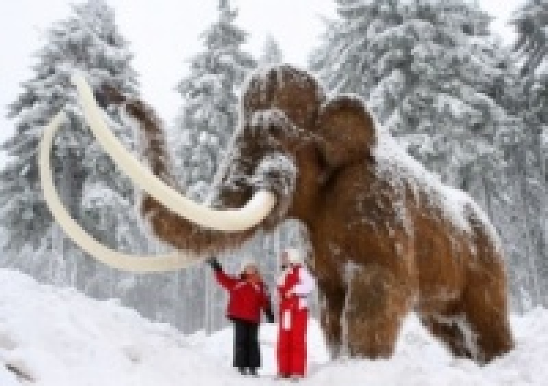В Якутии планируется строительство криохранилище мамонтов